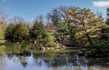 Why is the most visited place in Illinois so popular?